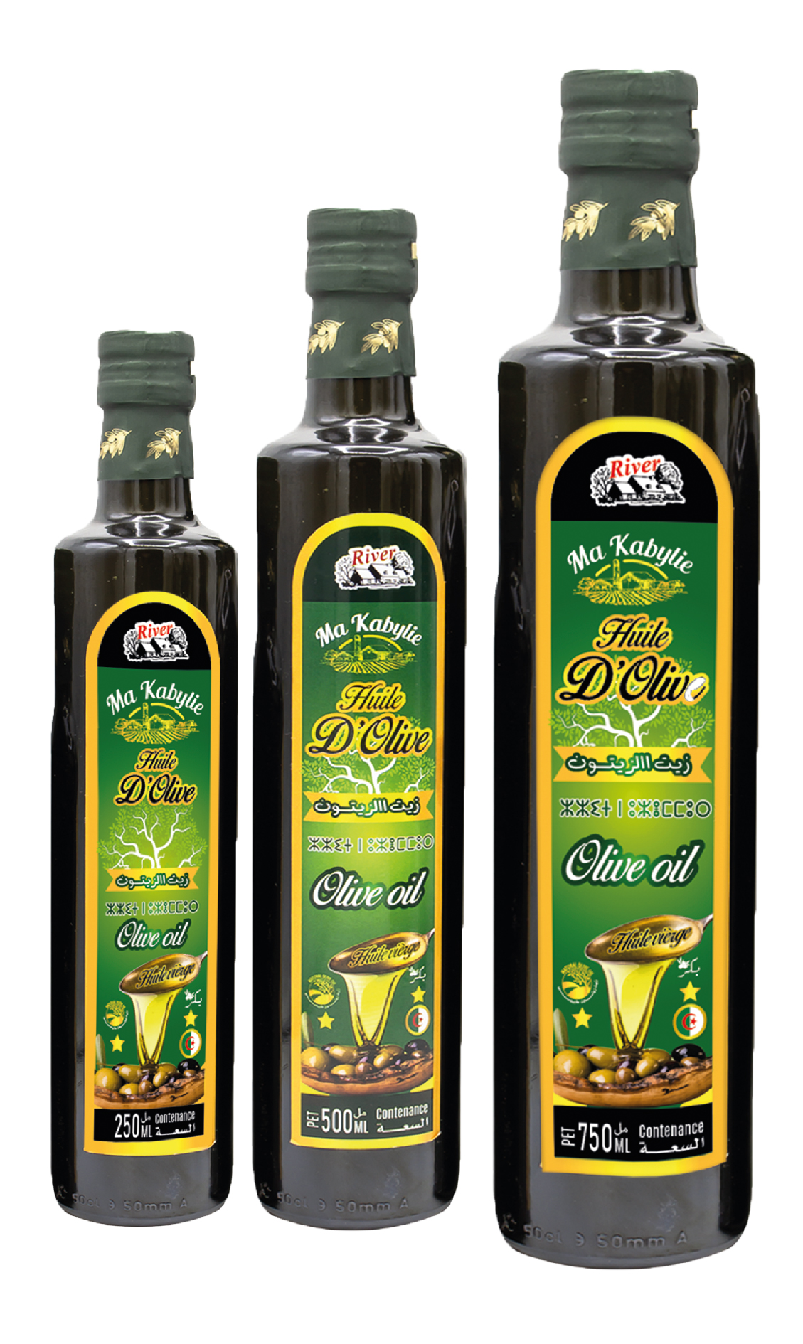 Olive Oil