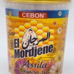 assila el mordjene - Copie (2)